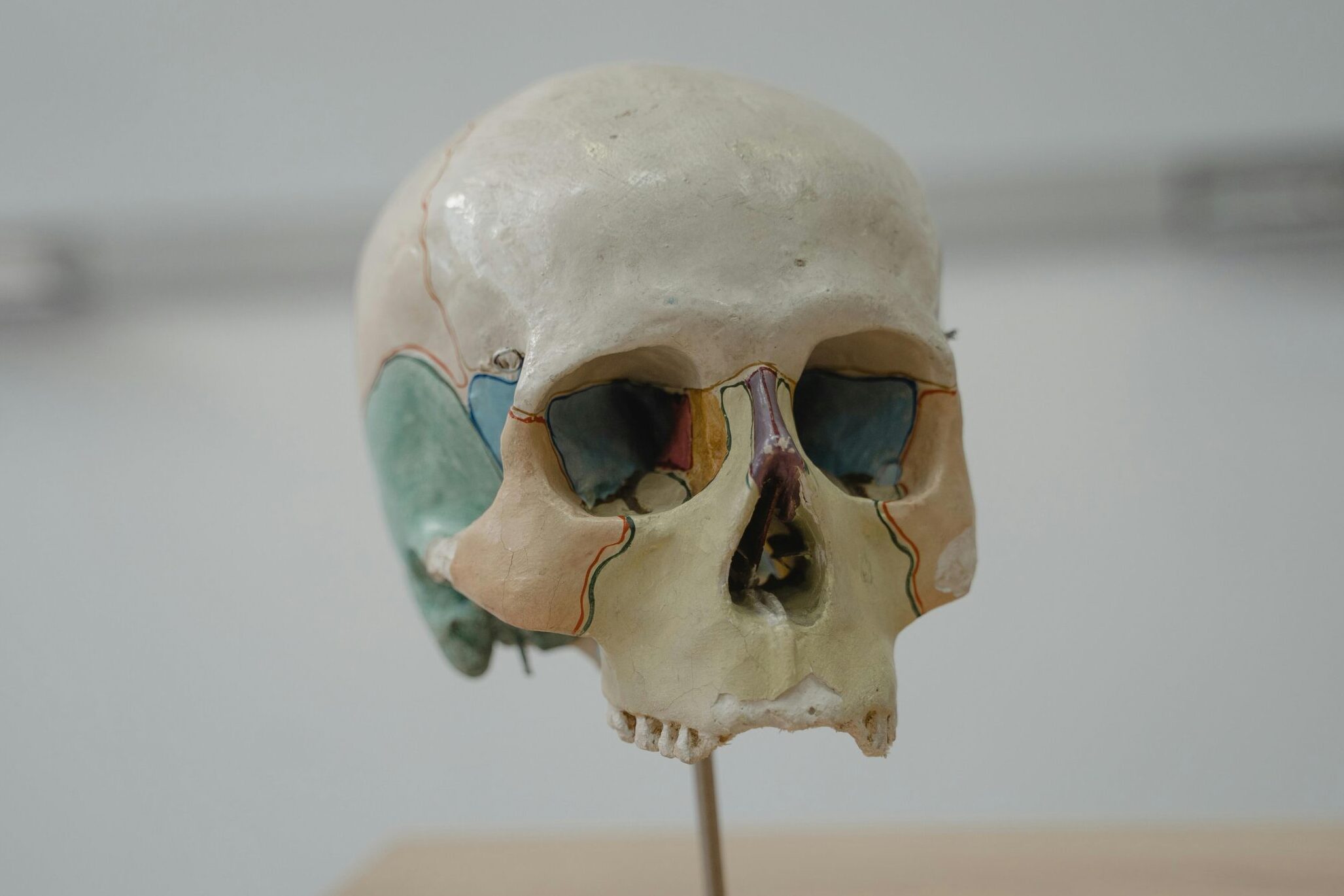 Approccio Osteopatico Sistema Nervoso